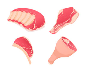 Set fragments of pork and beef meat. Assortment of meat slices of dish. Meat ribs, pork drumstick, slice from the thigh, beef meat on the bone. Vector illustration.