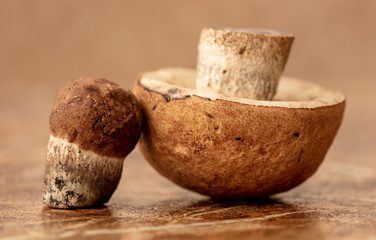 Mushrooms collected in the forest on the table