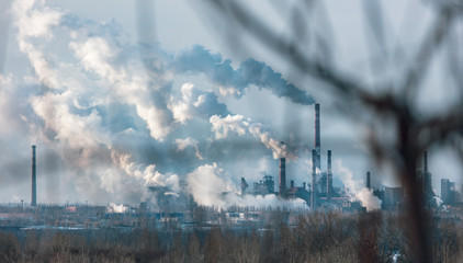 Smoke from the chimneys of the plant behind the branches of a tree