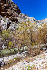 River and bare trees in the mountains