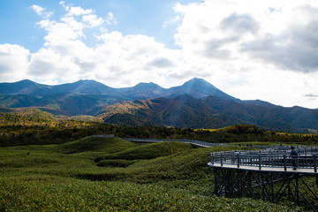 秋の知床　知床五湖の高架木道（遊歩道）と知床連山（北海道・斜里町）