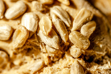 Close up of tasty sunflower bread rolls from Denmark