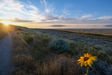 Foto op Plexiglas Antelope Island State Park © IDN
