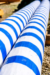 typical bavarian maypole