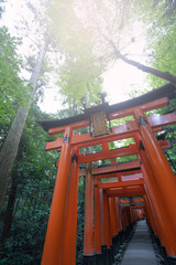 Harmony with Nature :Landscape of Fushimi Inari Taisha