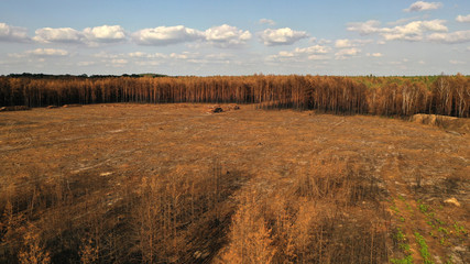 Waldbrand