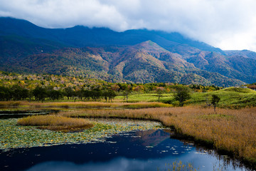 秋の知床　知床五湖【１湖】と知床連山（北海道・斜里町）