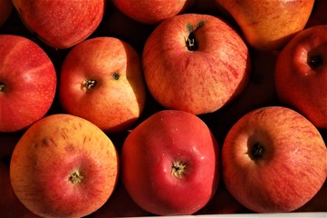 red apples on a black background