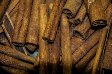 brown cinnamon sticks