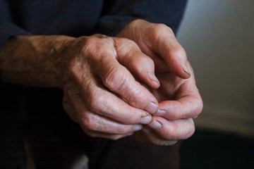 Fototapeta premium grandmother's hands, hands of elder woman