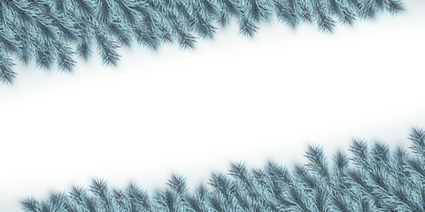 Festive Christmas or New Year Background. Blue Christmas Fir-Tree Branches. Holiday's Background. Vector illustration