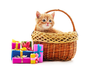 Little cat in the basket with a gifts.