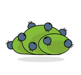 Blueberry berry bush isolated on white. Fresh blueberries on a green bush. Flat vector design, logo, label or emblem for shop. The time to harvest. Blueberry icon. Berry bush, flat style. EPS 10. 