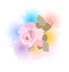 Falling pink rose against rainbow watercolors spots. Design element. Print for T - shirt.