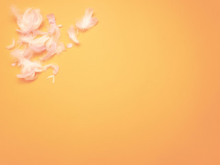 Fototapeta na wymiar Beautiful background, pink feathers on the orange floor.