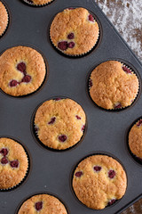 The process of making cupcakes, coating a cream from a pastry bag in the hands of a pastry chef.