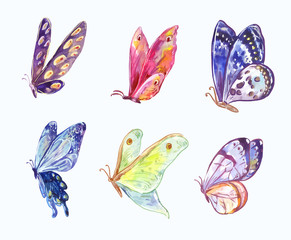 Watercolor vector butterflies in three-quarter view