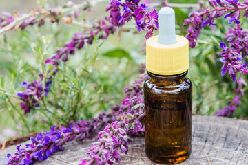 Fototapeta na wymiar Essential oil in a glass bottle and fresh lavender flowers on a background of nature. Tincture or essential oil with lavender. herbal medicine.