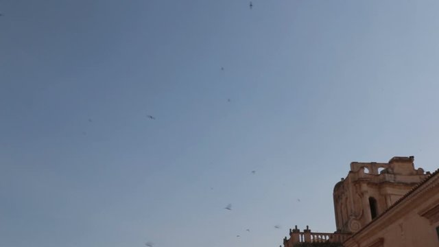 Swallows flying over the baroque palaces of Noto in Sicily, Italy.