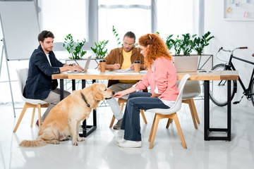 two friends working and woman feeding cute golden retriever