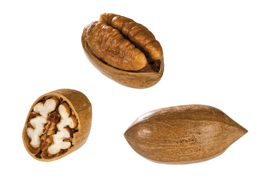 Pekannuss