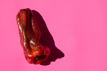 Large pepper with shadow on a pink background