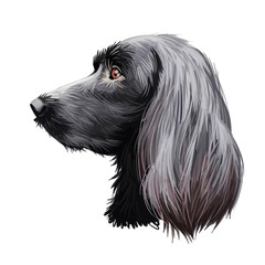 Munsterlander large, German originated dog digital art illustration portrait. Profile closeup of breed purebred offshoot of the longhaired pointer, puppy with long ears. Athletic intelligent doggy.