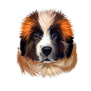 Moscow watchdog, Russian Moskovskaya storozhevaya sobaka digital art illustration. Russia originated pet of large weight and gentle temperament. Mountain dog canine powerful breed closeup portrait.
