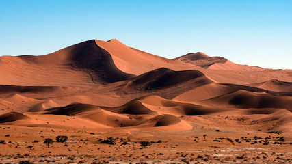 Naklejka na ściany i meble Beautiful landscape of orange sand dune desert at Namib desert in Namib-Naukluft national park Sossusvlei in Namibia.