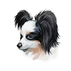 Papillon continental toy spaniel breed portrait watercolor, digital art. Isolated muzzle of lap pet, domestic animal originated from France. French canine of small size, pet with wide ears poster