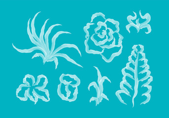 Set of draws of various flowers, leaf and plants like a digital paint. Vector illustration brush white and color of background turquoise