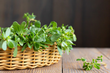 Naklejka premium Healthy herb purslane, edible weed, on wooden table. Copy space