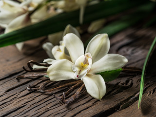Dried vanilla sticks and vanilla orchid on wooden table.
