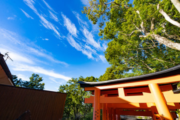 Kyoto Travel : Landscape of Fushimi Inari Taisha