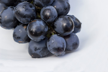 A bunch of black grapes with drops of water on white, close-up.