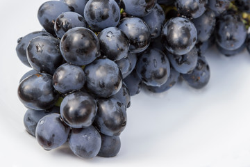 A bunch of black grapes with drops of water on white, close-up.