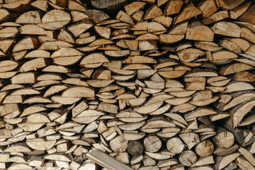 dry harvested for winter chopped wood from tree trunks