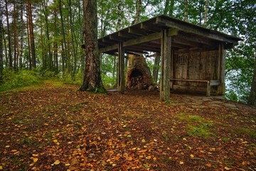 Ruins of old cabin in forest