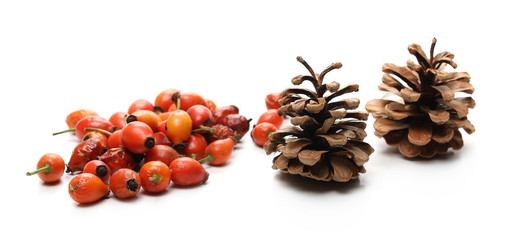 Pine cones and dog rose hips isolated on white background