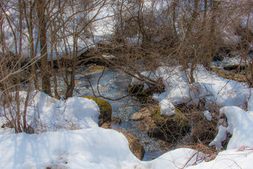 雪解け