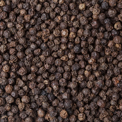 Dried black peppercorn background