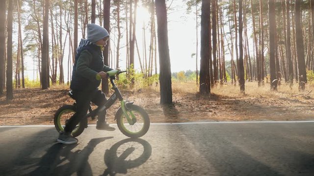 Cute 4 years boy child learning to ride first running balance bike. Boy riding a pedestrian walking path in the pine forest. Slow motion video