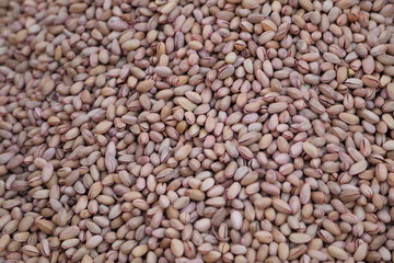 
delicatessen products