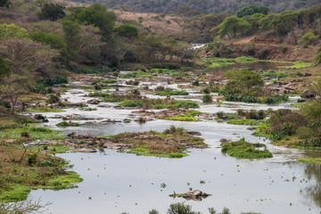 Fast Flowing Umgeni River