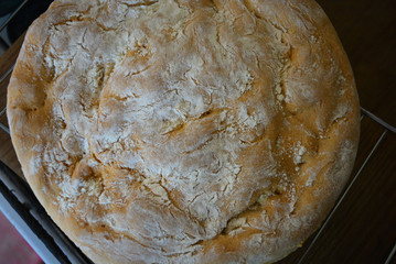 Fresh tasty soft bread, homemade cakes, white bread.