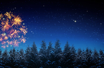 Colorful firework on night sky.New Year background.