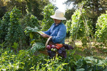 Farmer