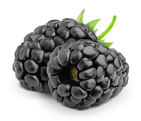 Group of ripe sweet blackberries with leaves isolated on white background.