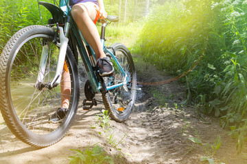 Low angle view of cyclist riding mountain bike on forest trail at sunset.