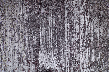 Black and white texture background. Photographed wood